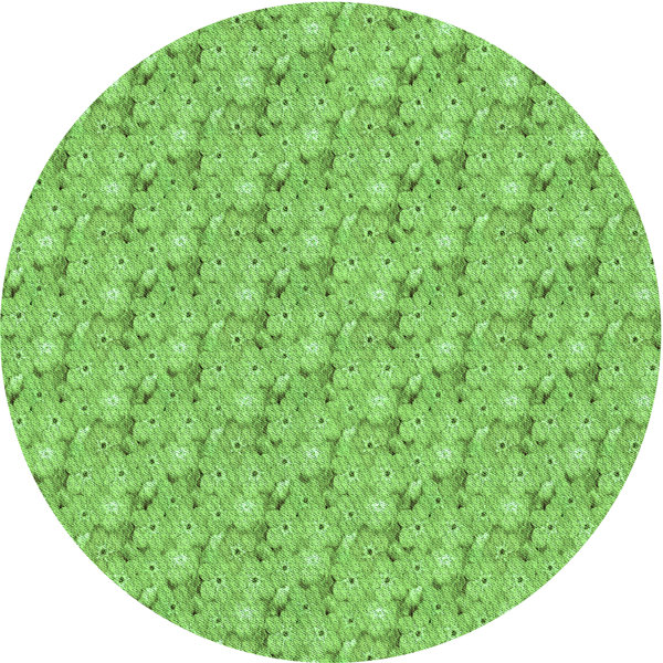 Ebern Designs Light Green Rug Wayfair